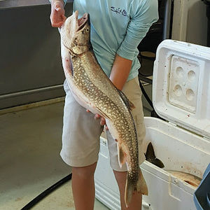 Meet your Posher, Joshua